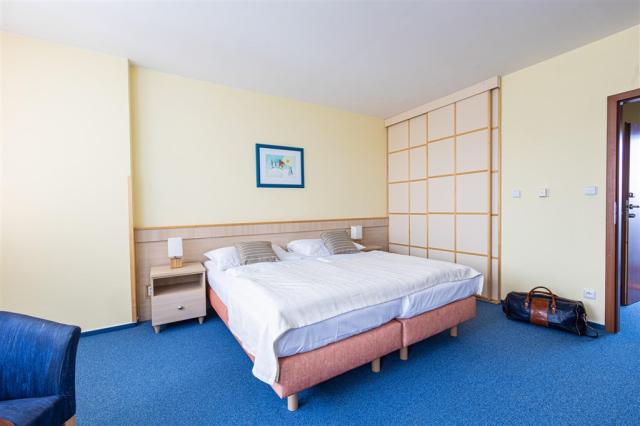 hotel-petrovy-kameny-ceska-republika-loucna-nad-desnou-apartman