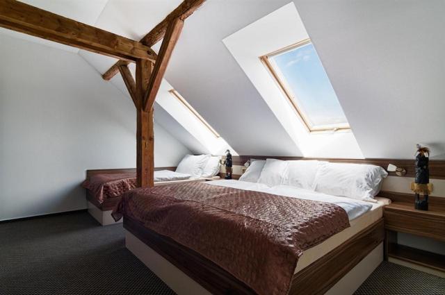 wellness-hotel-kocanda-ceska-republika-decin-pokoj-standard-tri