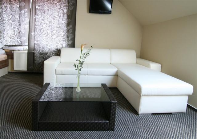 wellness-hotel-kocanda-ceska-republika-decin-pokoj-nadstandard-