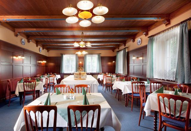 hotel-jestrabi-ceska-republika-luhacovice-restaurace.jpg