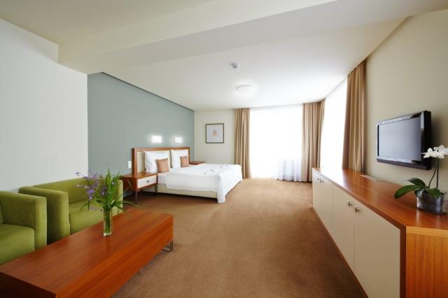 hotel-radun-luhacovice-pokoj-7.jpg