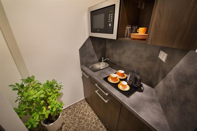 ea-business-hotel-jihlava-ceska-republika-jihlava-apartman (3).