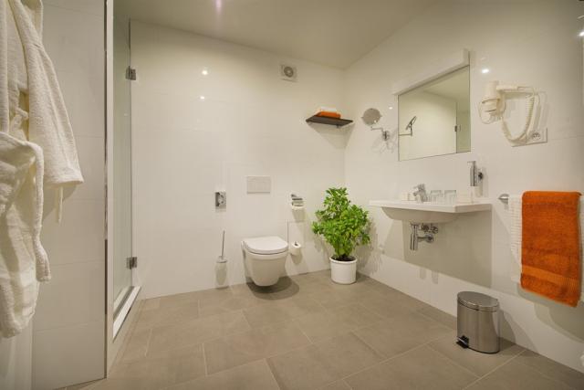 ea-business-hotel-jihlava-ceska-republika-jihlava-apartman-koup