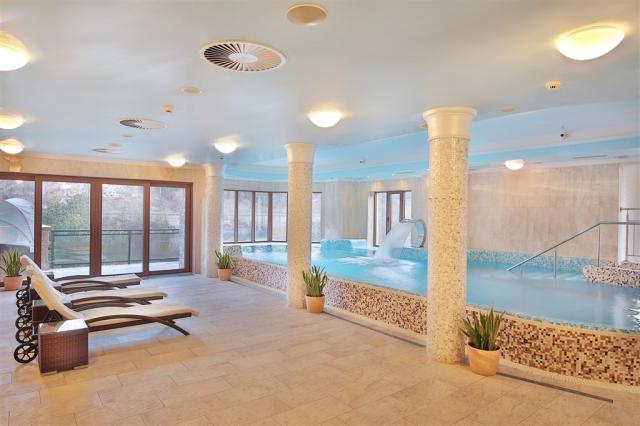 retro-riverside-wellness-resort-ceska-republika-brezova-u-karlo