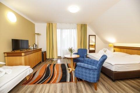 fontana-blue-marine-resort-cesko-frymburk-pokoj-13.jpg