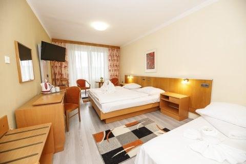 fontana-blue-marine-resort-cesko-frymburk-pokoj-16.jpg