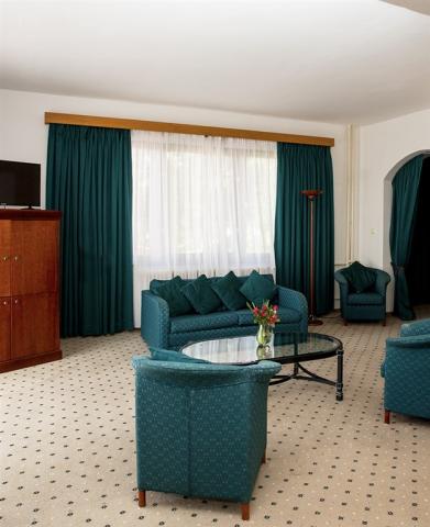 fontana-blue-marine-resort-cesko-frymburk-pokoj-standard-s-tera