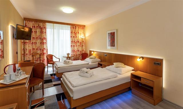 fontana-blue-marine-resort-cesko-frymburk-pokoj.jpg