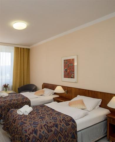 fontana-blue-marine-resort-cesko-frymburk-pokoj-6.jpg