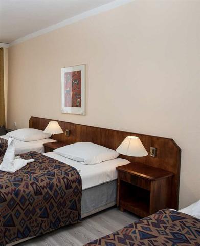 fontana-blue-marine-resort-cesko-frymburk-pokoj-7.jpg