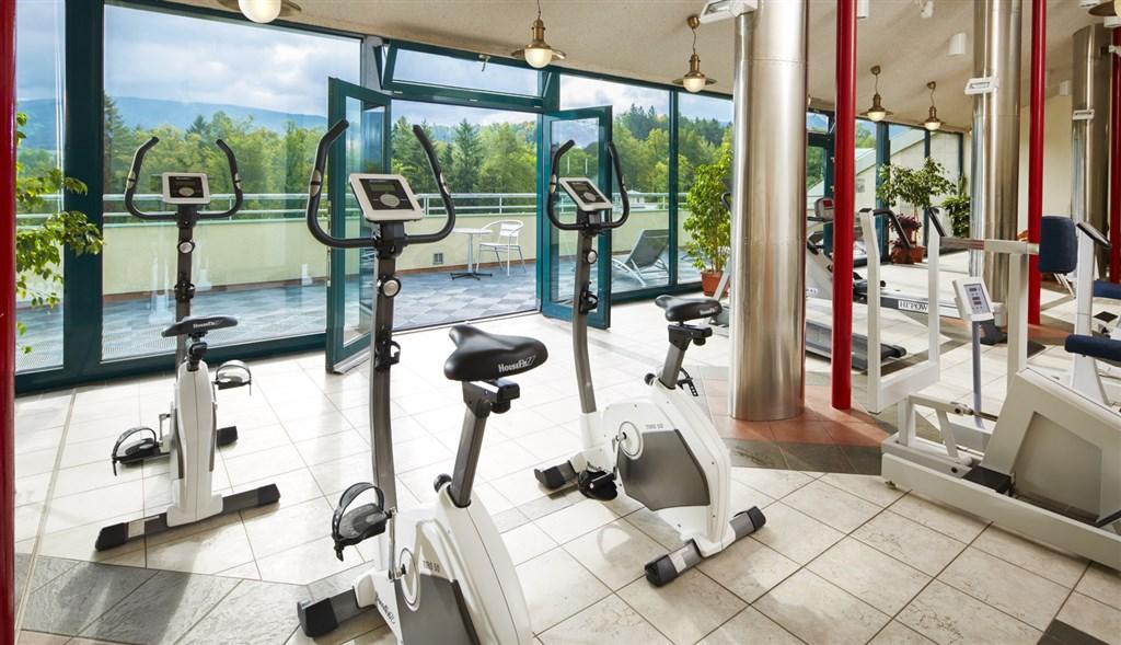 hotel-panorama-ceska-republika-lazne-libverda-fitness.JPG