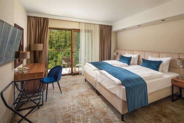 fagus-hotel-conference-spa-madarsko-sopron-pokoj-standard-plus.