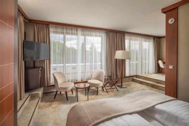 fagus-hotel-conference-spa-madarsko-sopron-top-floor-apartman (