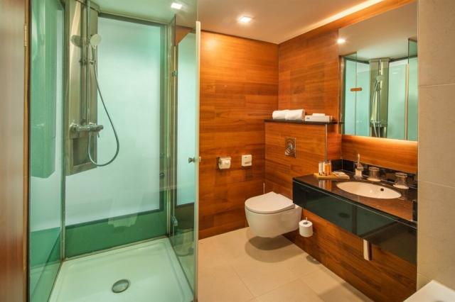 fagus-hotel-conference-spa-madarsko-sopron-top-floor-apartman-k
