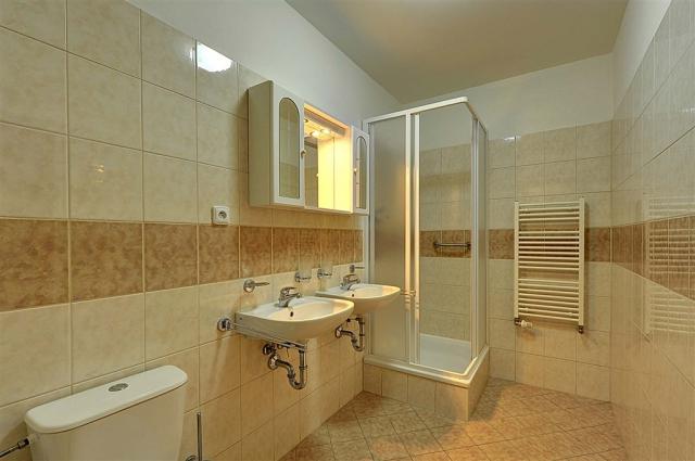 hotel-curie-spa-wellness-lazne-jachymov-koupelna-standard.jpg