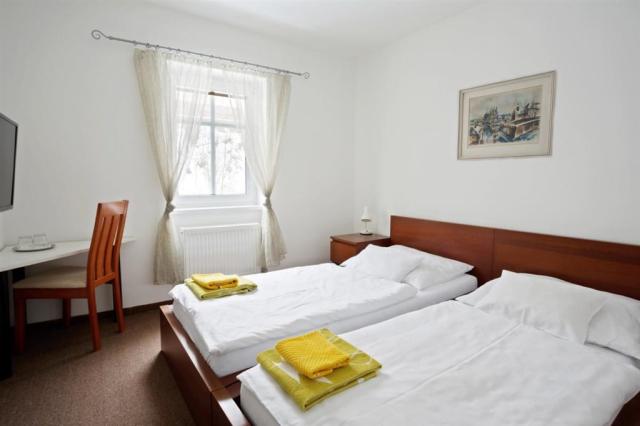 hotel-curie-spa-wellness-lazne-jachymov-pokoj-standard-5.jpg