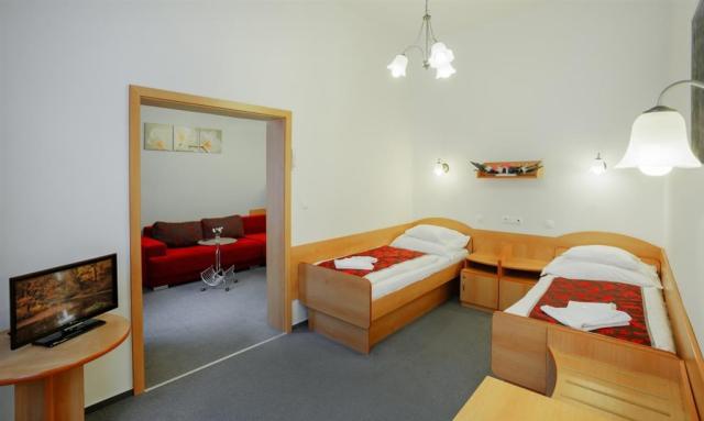 hotel-curie-spa-wellness-lazne-jachymov-pokoj-suite.jpg