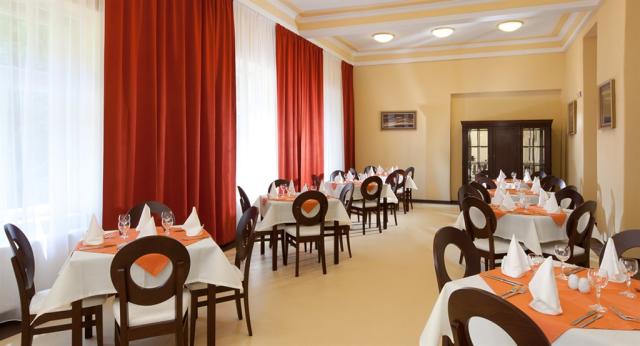 hotel-morava-ceska-republika-luhacovice-restaurace (5).jpg