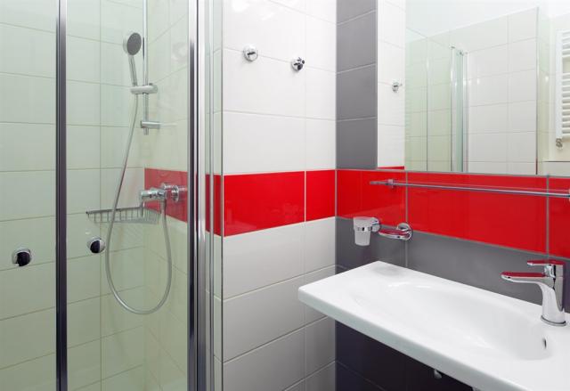 hotel-morava-ceska-republika-luhacovice-dvouluzkovy-pokoj-koupe