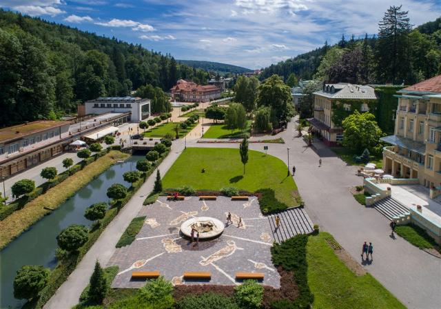 vila-pod-lipami-ceska-republika-luhacovice-lazensky-areal.jpg