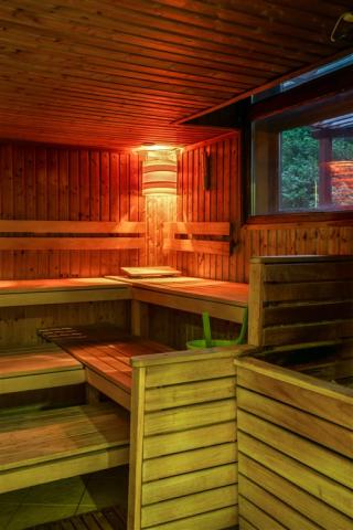 thermal-sarvar-ensana-health-spa-hotel-madarsko-sauna.JPG