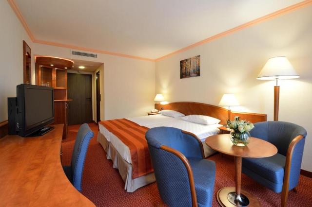 thermal-sarvar-ensana-health-spa-hotel-madarsko-dvouluzkovy-pok
