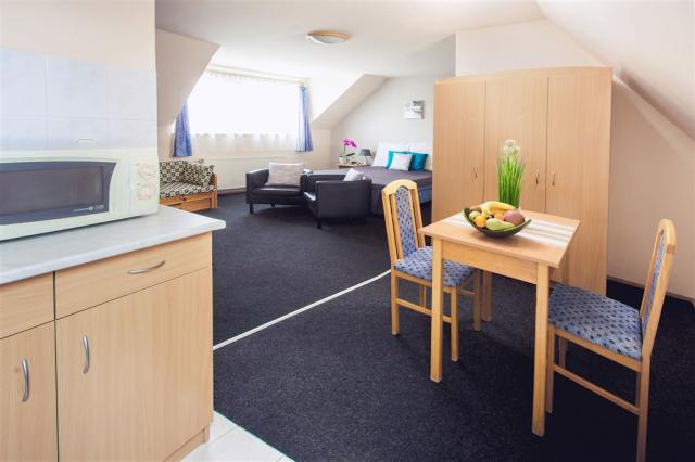 penzion-szanyi-b-madarsko-buk-apartman-9.jpg