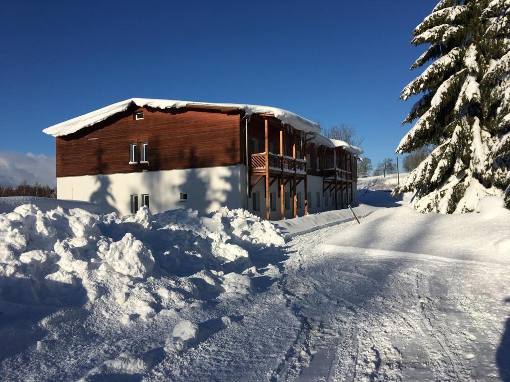 Penzion-Dobik-Pasecna-Lipno-Cesko-exterier v zime.jpg