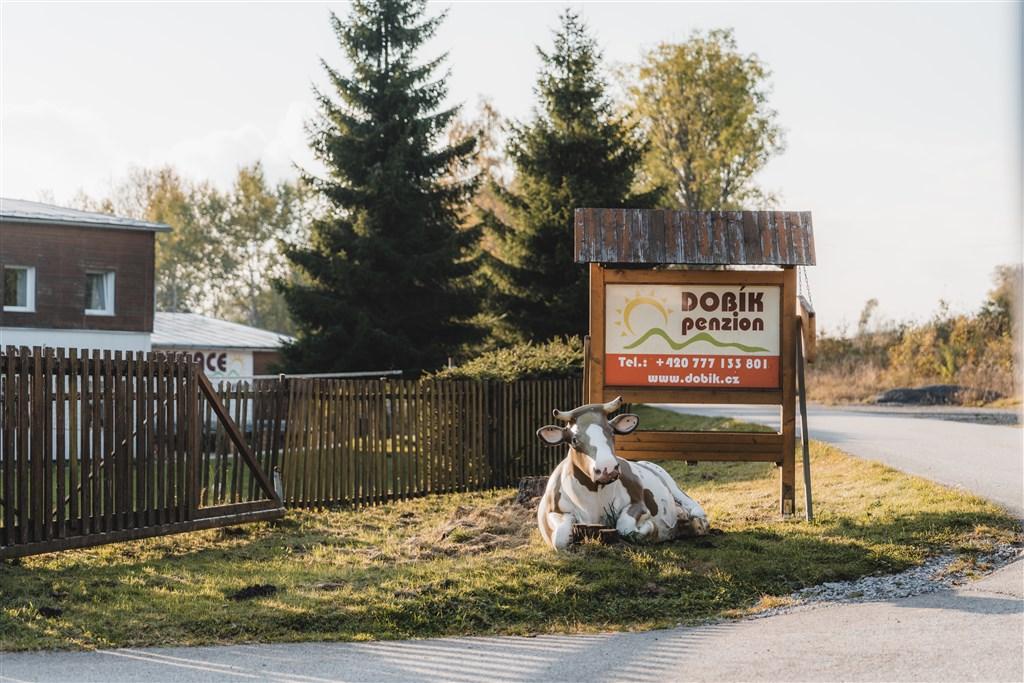 Penzion-Dobik-Pasecna-Lipno-Cesko.jpg