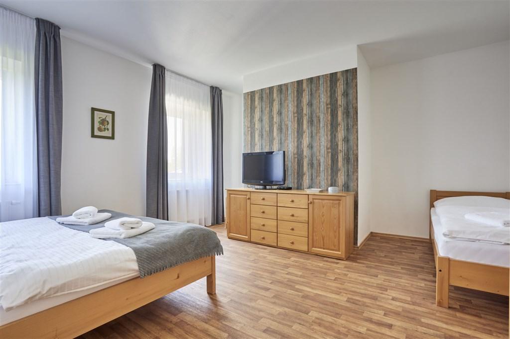 Penzion-Dobik-Pasecna-Lipno-Cesko-apartman.jpg