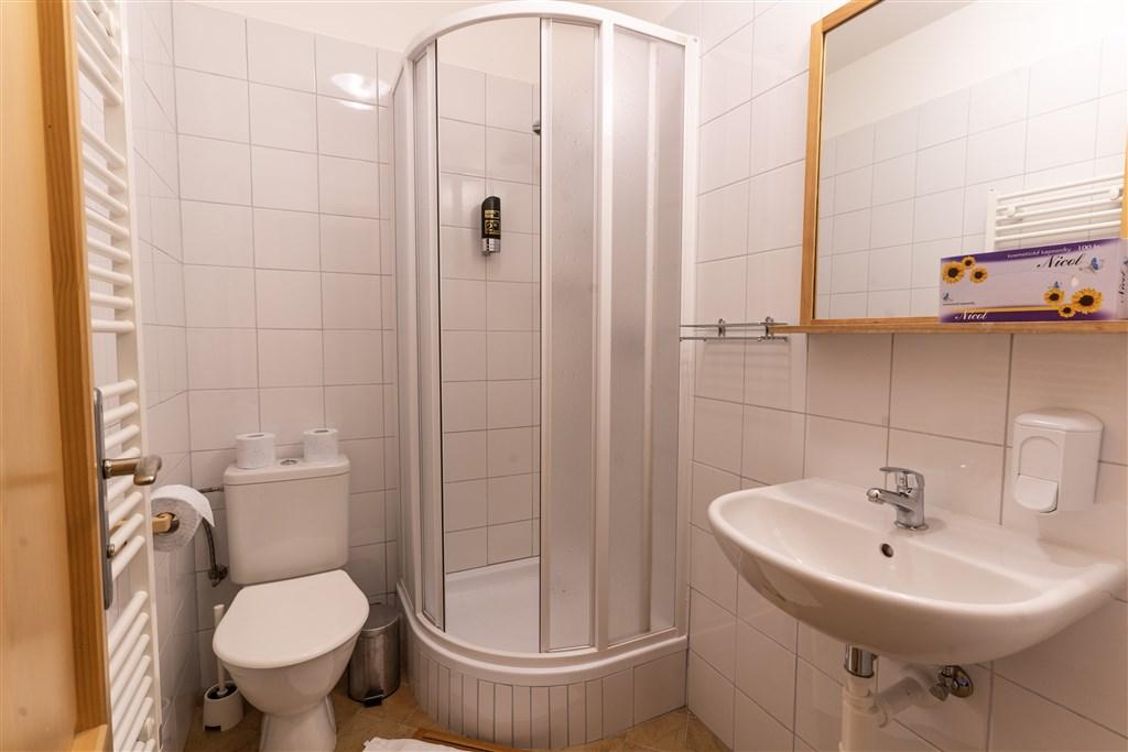 Penzion-Dobik-Pasecna-Lipno-Cesko-koupelna.jpg