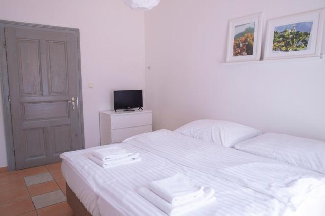 Palava-Amenity-Apartmany-Perna-ctyrluzkovy-apartman-s-terasou-3
