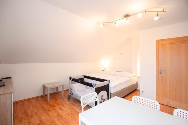 Palava-Amenity-Apartmany-Perna-petiluzkovy-apartman-3.jpg
