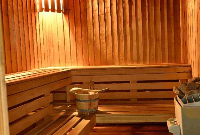 nova-lesna-hotel- euforia-sauna.png