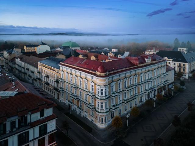 frantiskovy-lazne-savoj-spa-hotel-venkovni-pohled-2.png