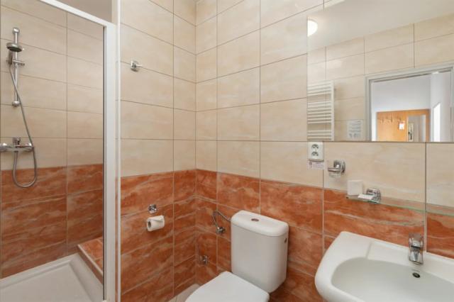 frantiskovy-lazne-savoj-spa-hotel-jednoluzkovy-pokoj-standard-k