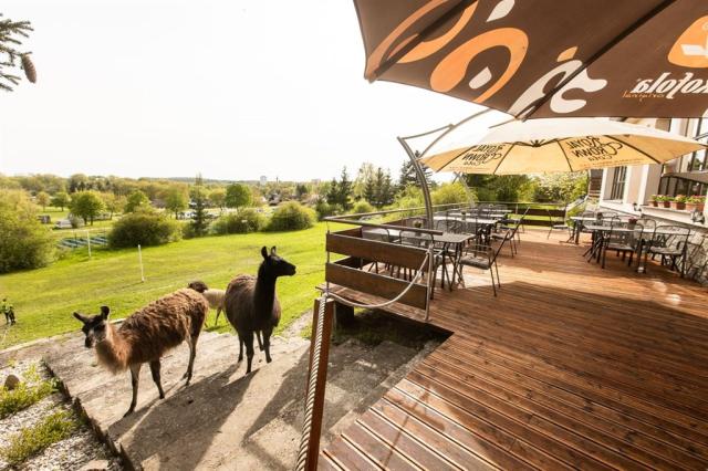 Ceska-Skalice-hotel-Rozkos-vybeh-lamy.jpg