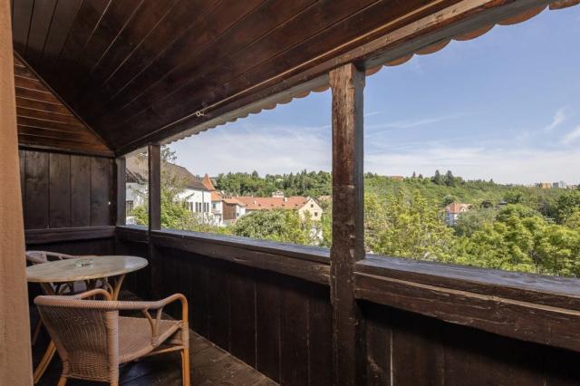 cesky_krumlov_bellevue_hotel_JUNIOR_SUITE_egon4.jpg