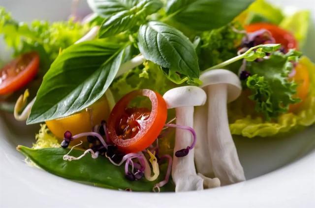 ENSANA Health Spa Hotel VILA TRAJAN, Slovensko - Západní Sloven