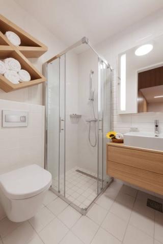 Apartmá hygienické zařízení sprchový kout.