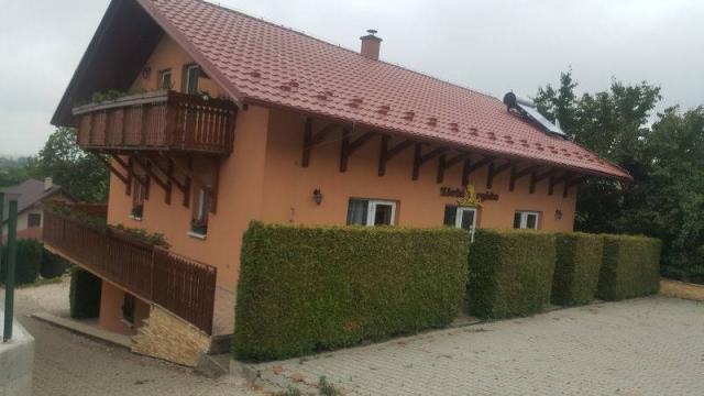 Zlatá Rybka