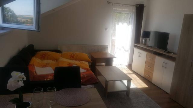 Apartmán obytná část s rozkládacím gaučem.
