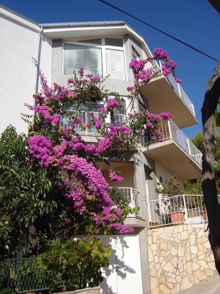 Vila Bajuti