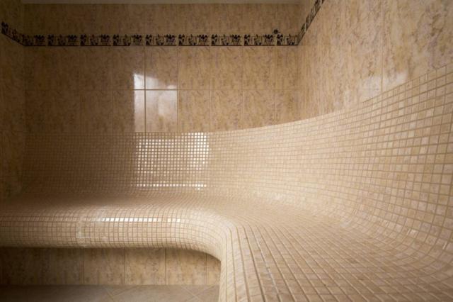 Sauna parní.