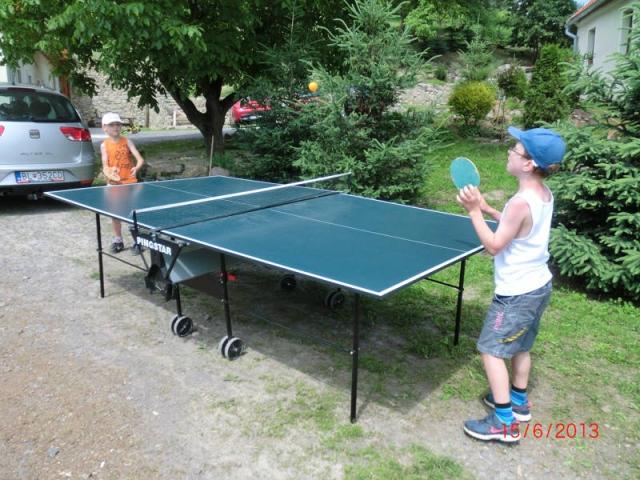 Stolní tenis.