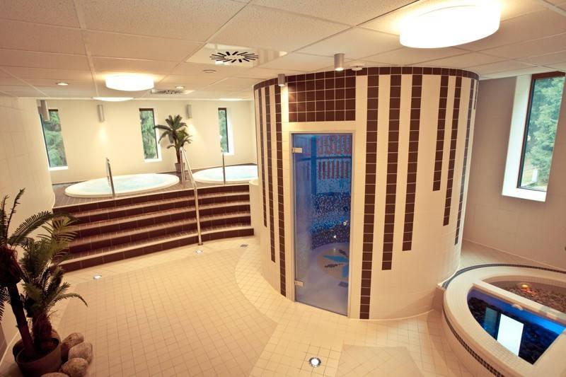 Wellness centrum vířivky, sauna, Kneippův chodník.