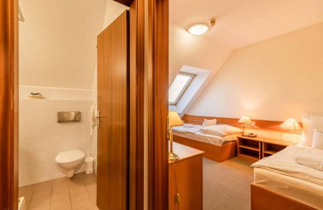 Pokoj 2-lůžkový oddělená lůžka, hygienické zařízení sprchový ko