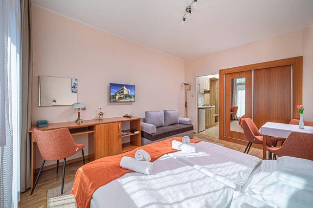 Apartman Standard Plus jednopokojový 2 lůžka a gauč jako přistý