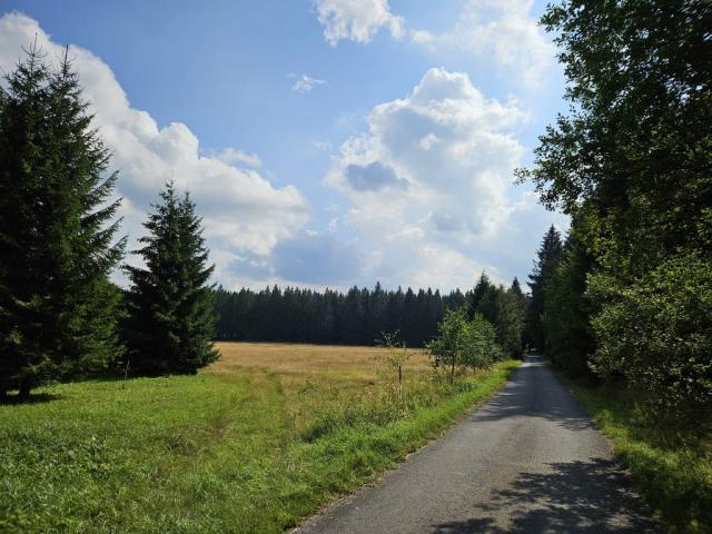 Příjezdová cesta.
