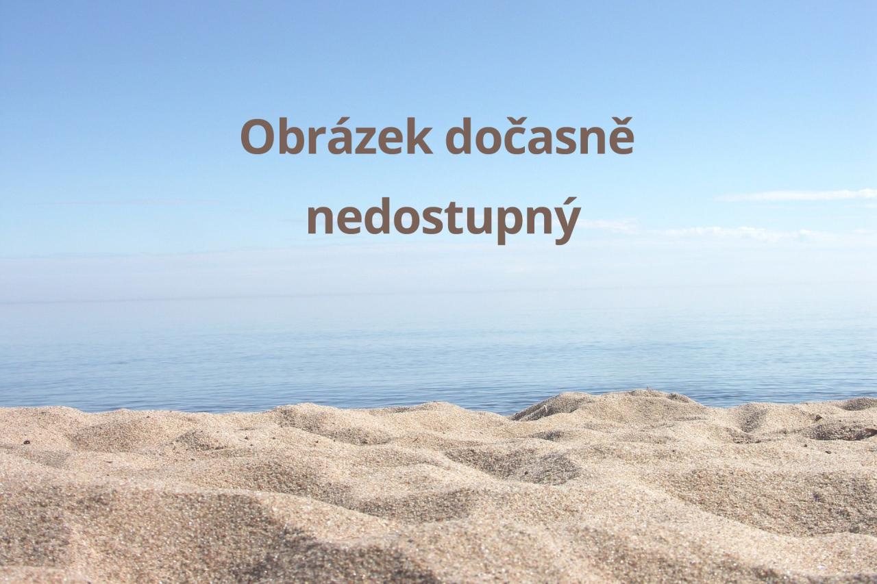 Pokoj Standard hygienické zařízení sprchový kout.